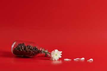 one flower in a bottle lies and grains of coffee on a red background