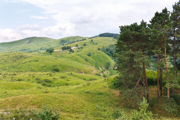 Fototapeta na wymiar Marvellous landscape with pine trees, meadows and forests in foothills of North Caucasus.