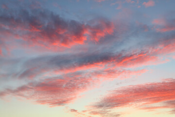Naklejka na ściany i meble Red fluffy sunset clouds over blue sky