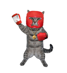 A gray cat athlete with a golden first place medal dressed a red boxing uniform. White background. Isolated.