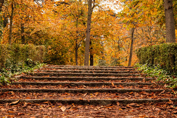 autumnal landscapes