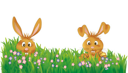 Zwei freche Hasen in einer Blumenwiese.