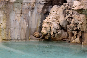 Fototapeta na wymiar lion - detail of Fountain of the Four Rivers (Fontana dei Quattro Fiumi, Bernini) - Rome, Italy