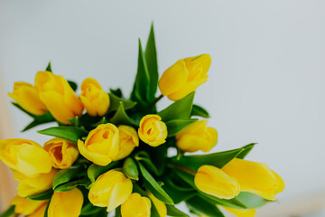 Bright fresh yellow tulips on white background. Many yellow tulips in jar top view. Bunch of spring flowers on white table.