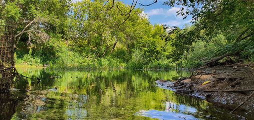 river pond in the forest with the reflection of foliage and sky in the water