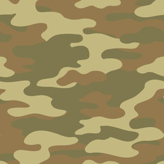 Abstract camouflage seamless pattern. Camo background, natural curved wavy shapes, forms