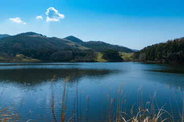Sunny spring, landscape with lake, trees and forest. Seosan-si, Chungcheongnam-do, Republic of Korea