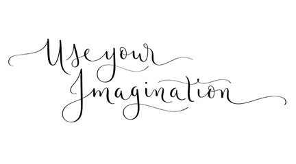 USE YOUR IMAGINATION black vector brush calligraphy banner with flourishes isolated on white background