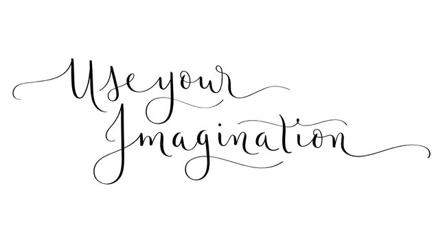 USE YOUR IMAGINATION black vector brush calligraphy banner with flourishes isolated on white background