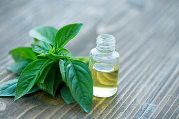 Basil essential oil, herbal oil Ocimum basilicum - obrazy, fototapety, plakaty