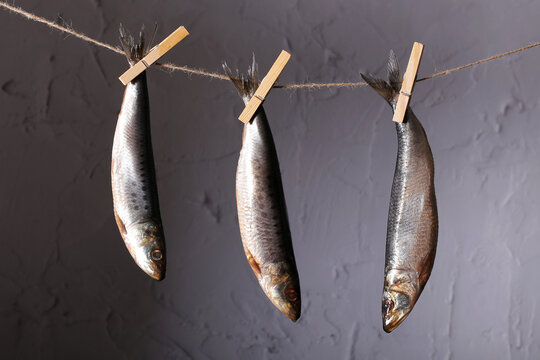 iwashi herring hanging on a clothespin