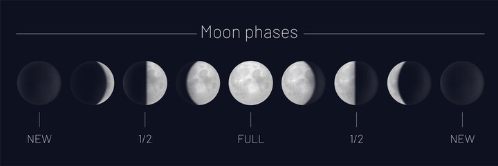 Moon phases whole cycle on night sky. Astrology or astronomical lunar sphere shadow, whole cycle from new to full moon, from first to last quarter realistic vector illustration
