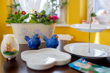Sowing cress seeds to decorate the Easter table.