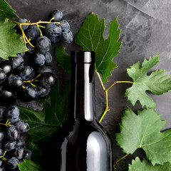 Red wine bottle, black grapes,grape bunches with leaves and vine on dark rustic concrete...