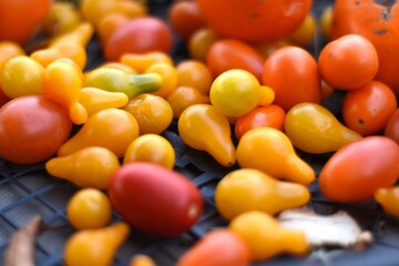 red and yellow tomatoes