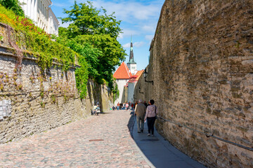 Streets of Tallinn old town with St. Olaf's church (Oleviste kirik) tower, Estonia