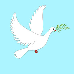 White dove of peace with an olive branch in beak fly. Art design element stock vector illustration for web, for print, for fabric print