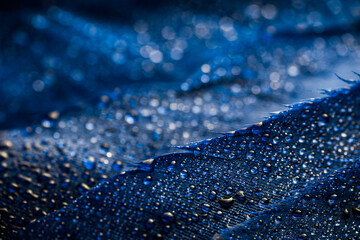 Abstract blurred macro dark blue background with drops on feathers. Selective focus.