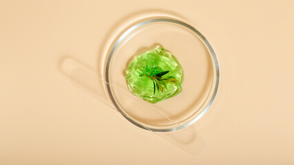 Aloe gel natural cosmetics for cosmetology. Green gel Medical herbs ingredients in laboratory glassware. Cosmetic skincare products in petri dishes on beige background. Top view Long web banner