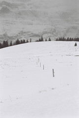 landscape with snow