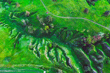 Green fields from above