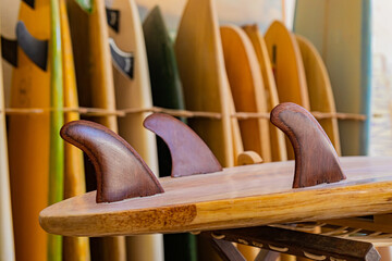 retro vintage surfboards lined up in a local surf shop