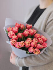 Young woman florist holding big beautiful blossoming mono bouquet of pink peonies tulips flowers wrapped in grey paper.