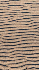 Processed with VSCO with u3 preset