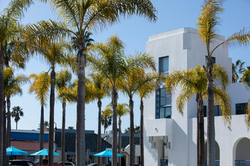Palm tree view of the historic 1929 art deco city hall in downtown Oceanside, California, USA.