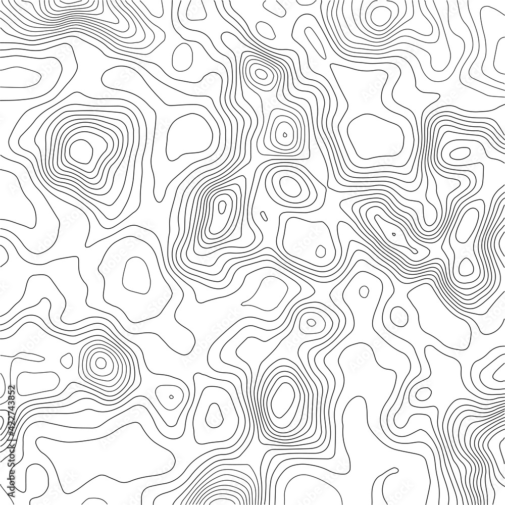 Poster grid map.topographic map background. abstract vector illustration.