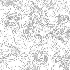 Grid map.Topographic map background. Abstract vector illustration.