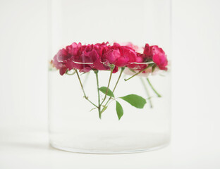 Glass bowl with beautiful flowers and clear water