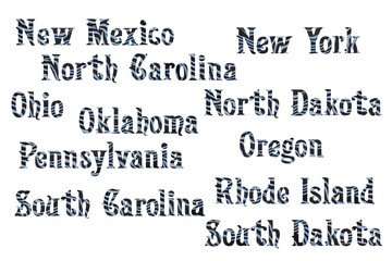 Obraz premium Political divisions of the US. Patriotic clip art in denim safari zebra print. States list. Part 3