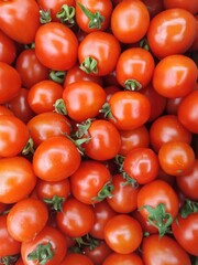 cherry tomatoes with green leaves wallpaper