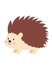 hedgehog 