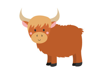 highland cattle