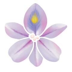 水彩風　淡い紫色のホテイアオイの花