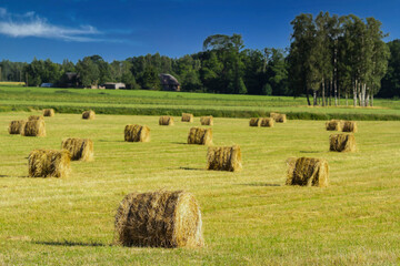 Hay bales on rural landscape 