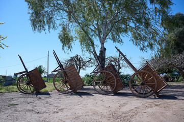 Old carts at farmers market