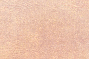 The surface of an old worn velvet, covered with dust and fibers. Abstract texture with a small pattern...