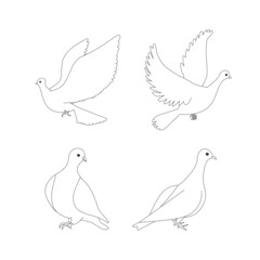 Dove sketch outline monochrome sketches set art design elements stock vector illustration for web, for print