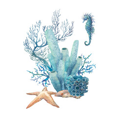 Watercolor sea horse, star fish and coral illustration. Hand drawn isolated underwater branches, sea urchin composition on white background.