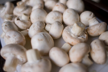 a lot of champignon mushrooms on the table
