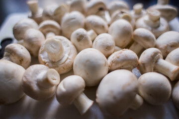 a lot of champignon mushrooms on the table