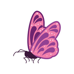 cute butterfly animal