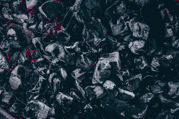 texture with a skull