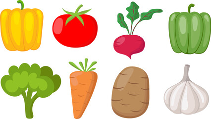 A set of vegetables - beets, carrots, garlic, potatoes, tomatoes, peppers, broccoli. Vector cartoon for vegetarian food, summer ingredient for salad proper nutrition.