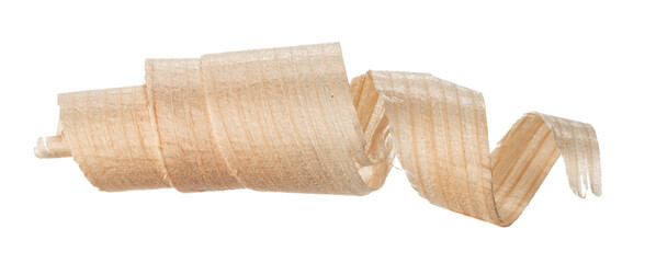 Curly wood shaving isolated on white background