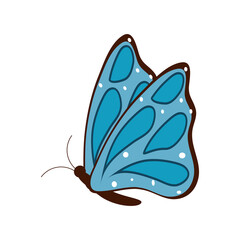 cartoon butterfly cute