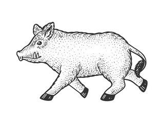 Running wild boar sketch engraving vector illustration. T-shirt apparel print design. Scratch board imitation. Black and white hand drawn image.